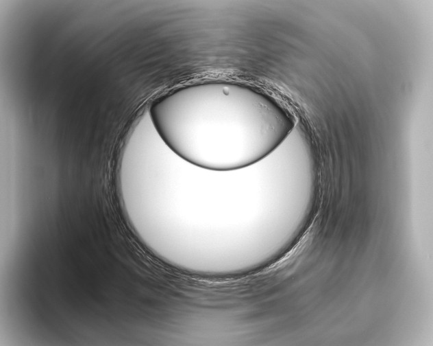 X0000093771257200710160849