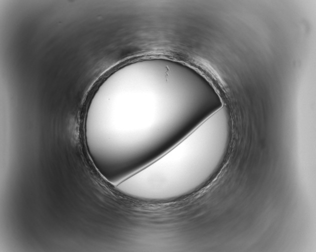 X0000093771260200710160849