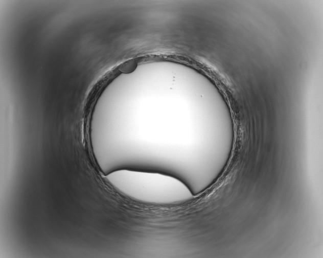 X0000093771262200710160849