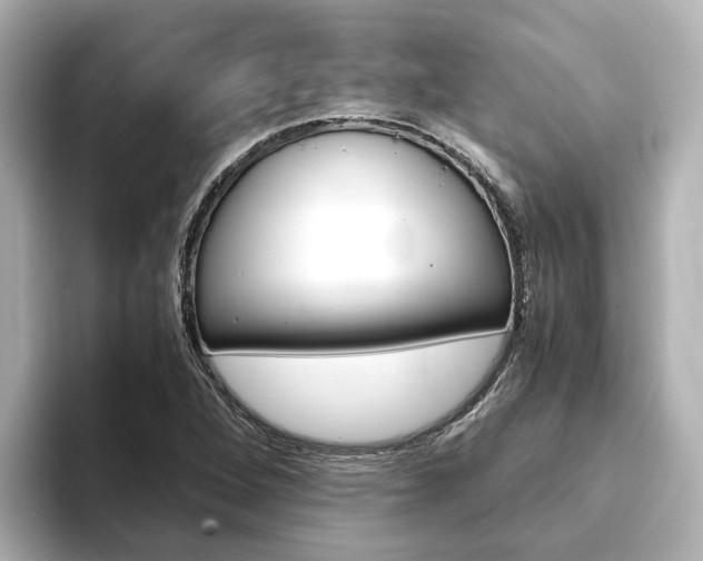 X0000093771264200710160849