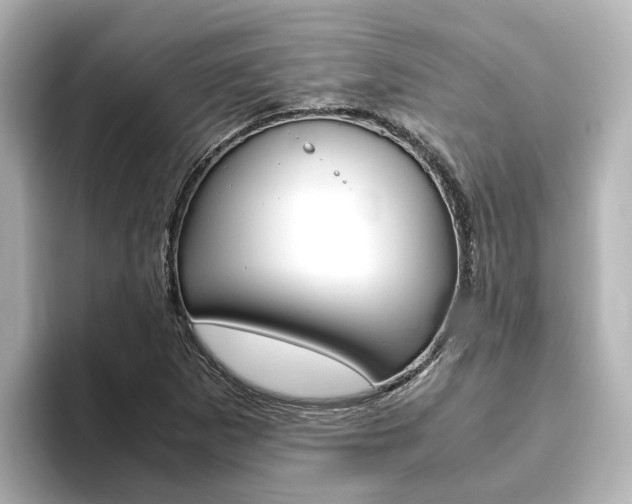 X0000093771265200710160849