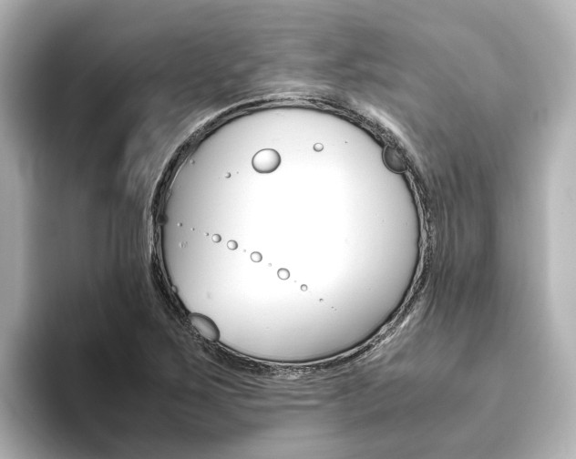 X0000093771267200710160849