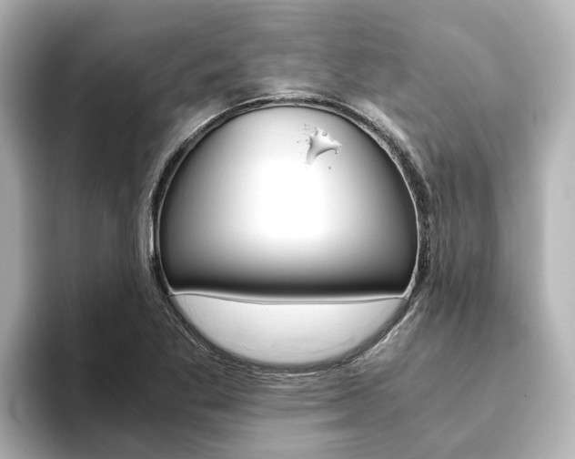 X0000093771269200710160849