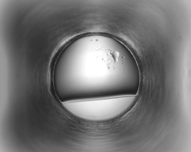 X0000093771270200710160849