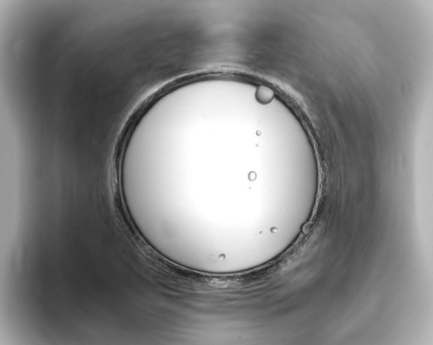 X0000093771271200710160849