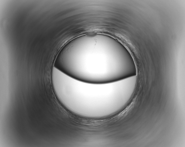 X0000093771273200710160849