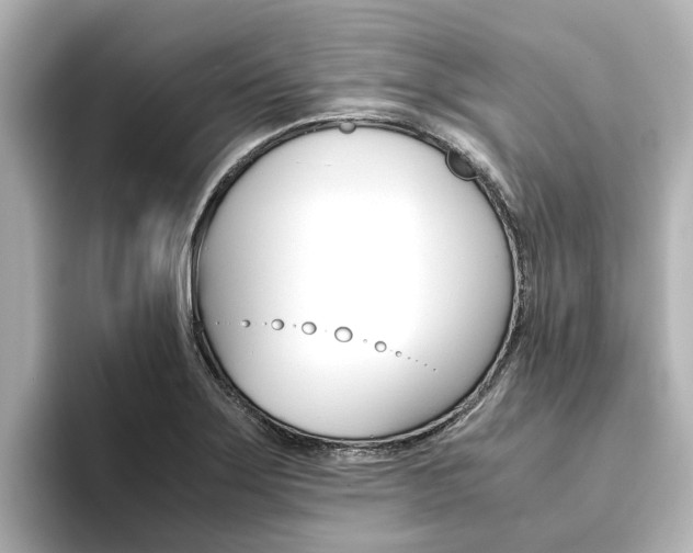 X0000093771275200710160849
