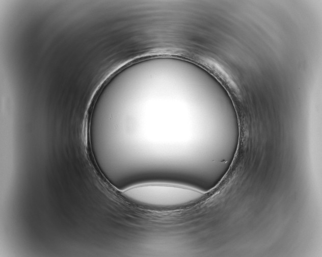 X0000093771276200710160849