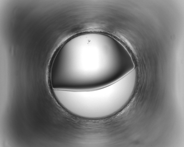 X0000093771277200710160849