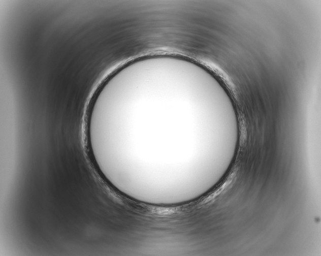 X0000093771278200710160849
