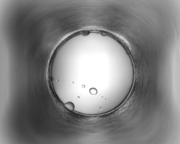X0000093771279200710160849