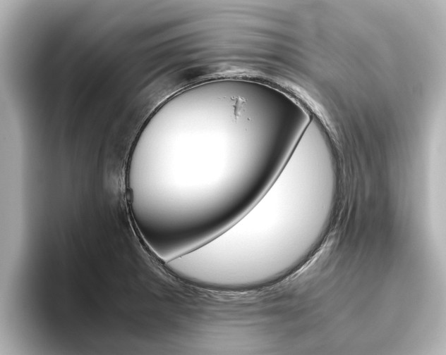 X0000093771281200710160849