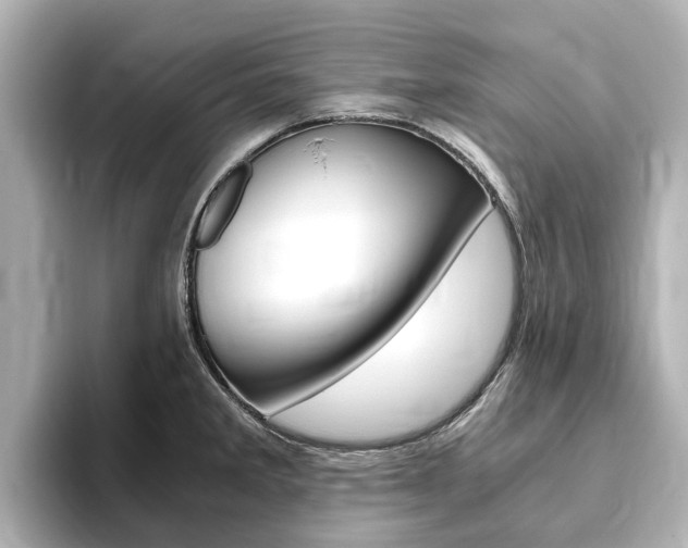 X0000093771285200710160849