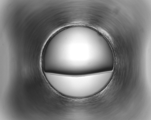 X0000093771288200710160849