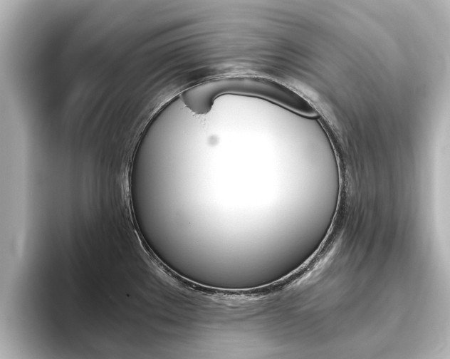X0000093771289200710160849