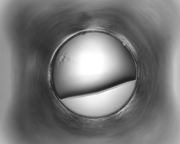 X0000093771292200710160849
