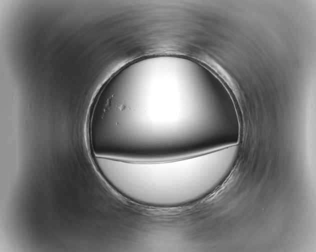 X0000093771293200710160849