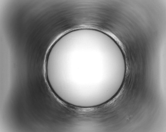 X0000093771294200710160849