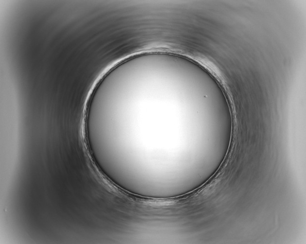 X0000093771296200710160849