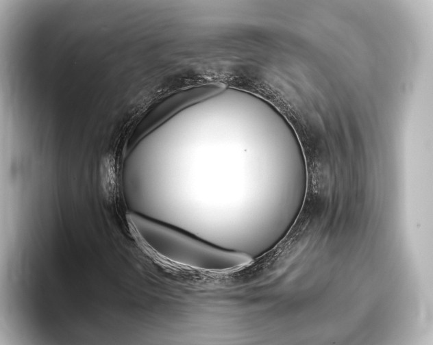 X0000093771298200710160848