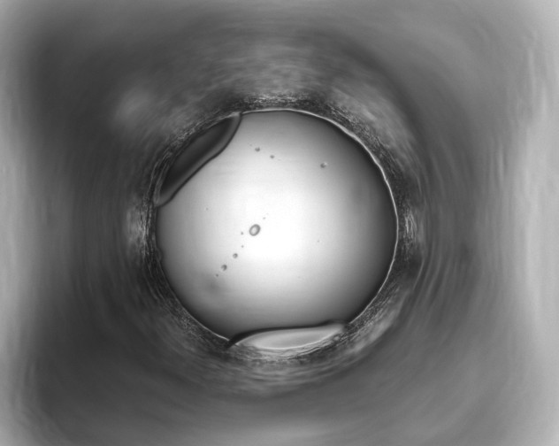 X0000093771300200710160848