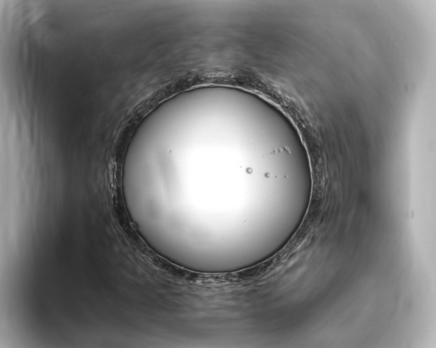 X0000093771301200710160848