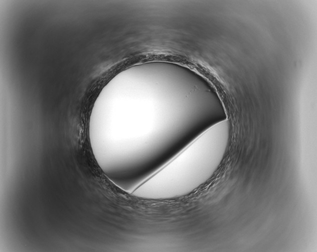 X0000093771303200710160848