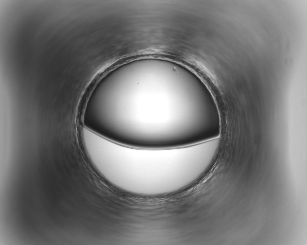 X0000093771308200710160848