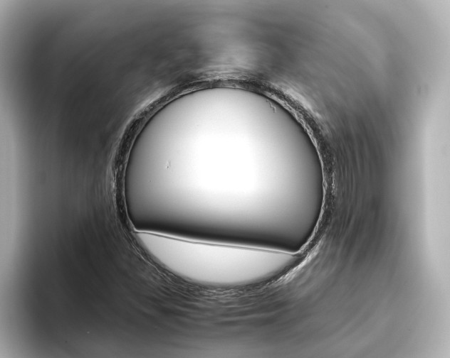 X0000093771309200710160848