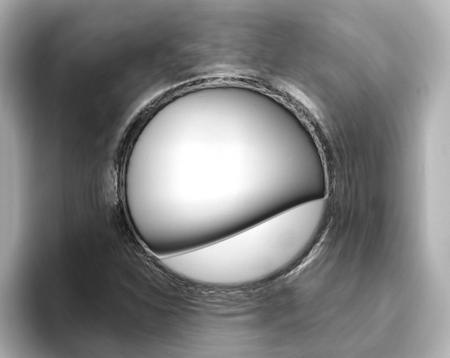 X0000093771310200710160848