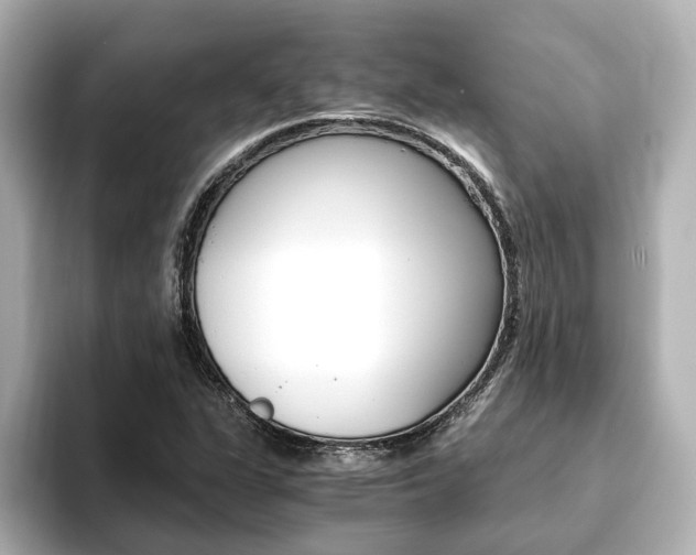 X0000093771311200710160848