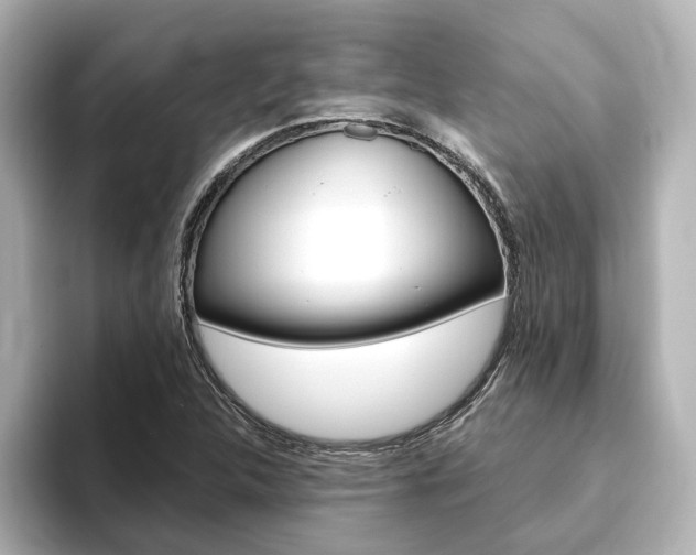 X0000093771312200710160848