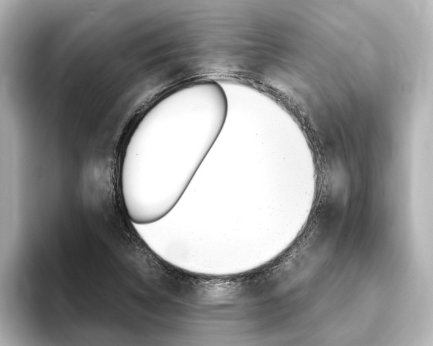 X0000093771314200710160848
