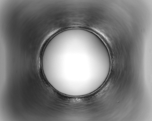 X0000093771317200710160848
