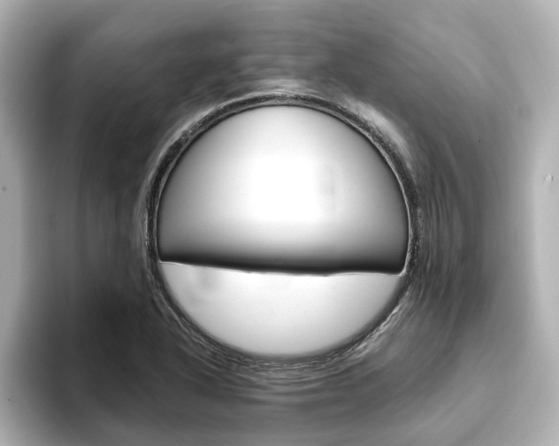 X0000093771318200710160848