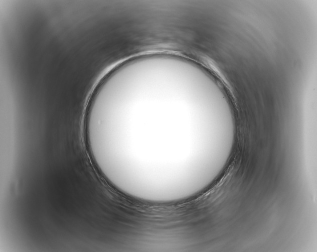 X0000093771320200710160848