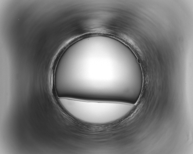 X0000093771323200710160848