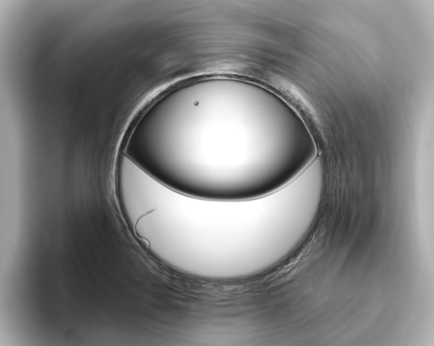 X0000093771324200710160848