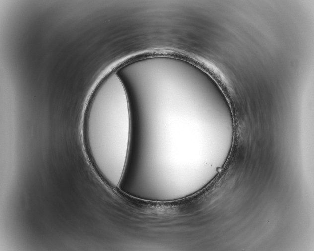 X0000093771327200710160848