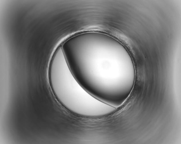 X0000093771328200710160848