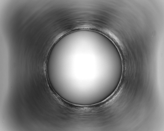 X0000093771329200710160848