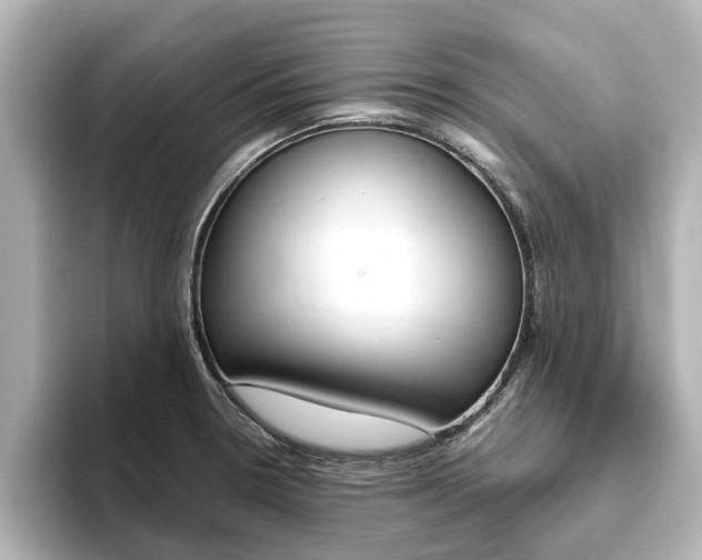 X0000093771330200710160848