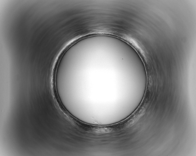 X0000093771331200710160848