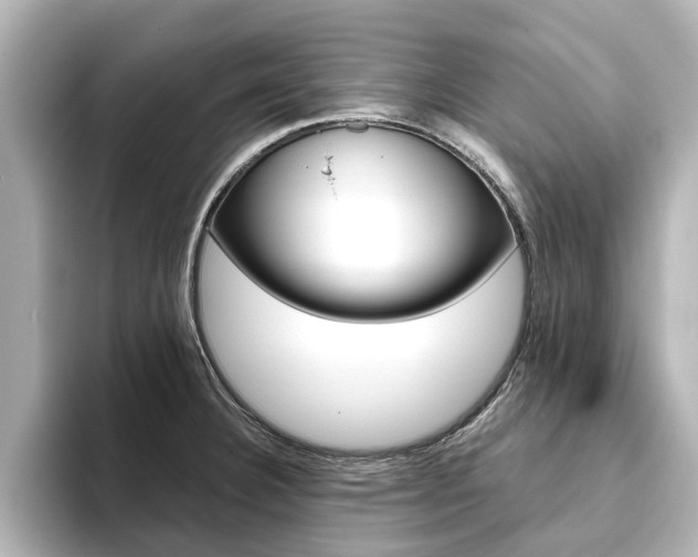 X0000093771332200710160848