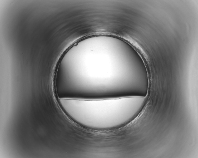 X0000093771333200710160849