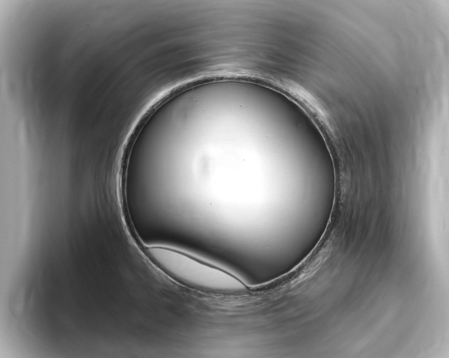 X0000093771334200710160849