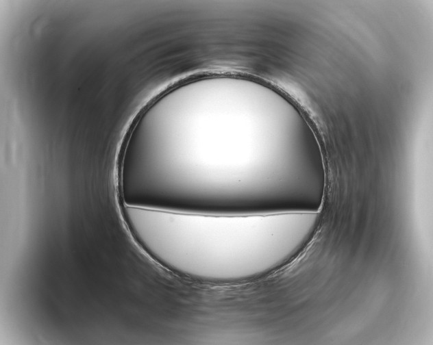 X0000093771335200710160849