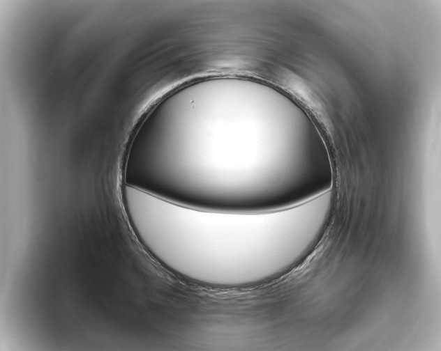 X0000093771336200710160849