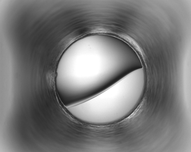 X0000093771337200710160849