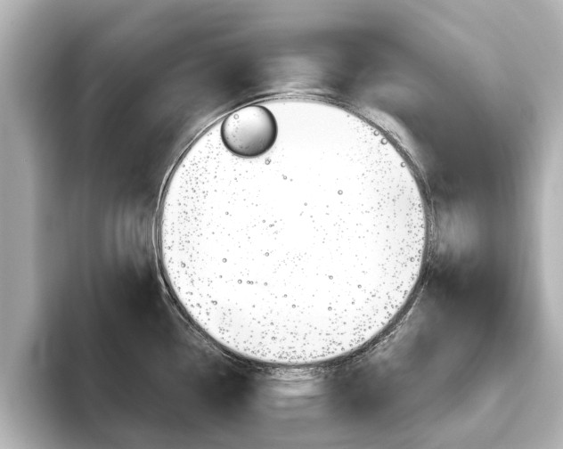 X0000093771338200710160849